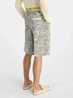Le short Navega