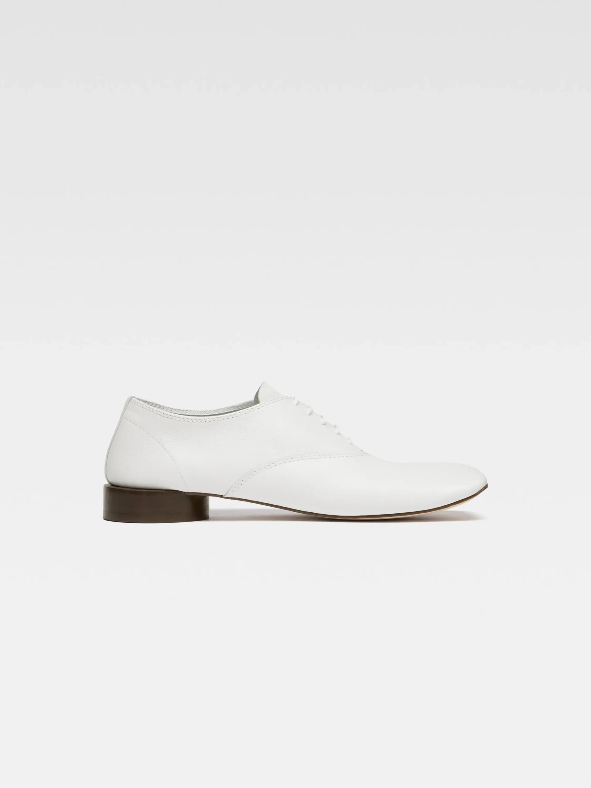 Les Zizi Repetto Jacquemus